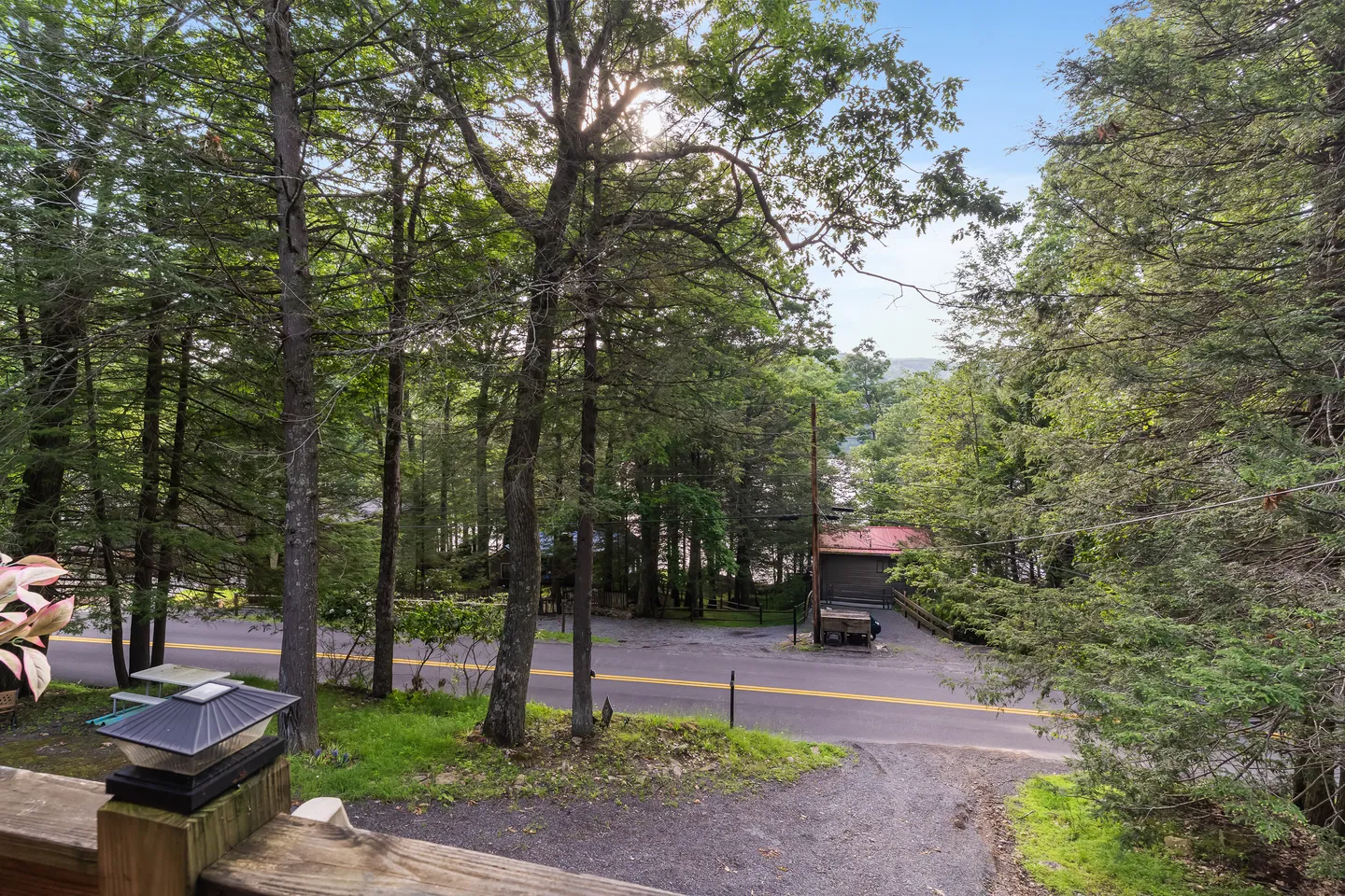 Elevated view from a wooden deck looking across a paved road surrounded by dense green trees.