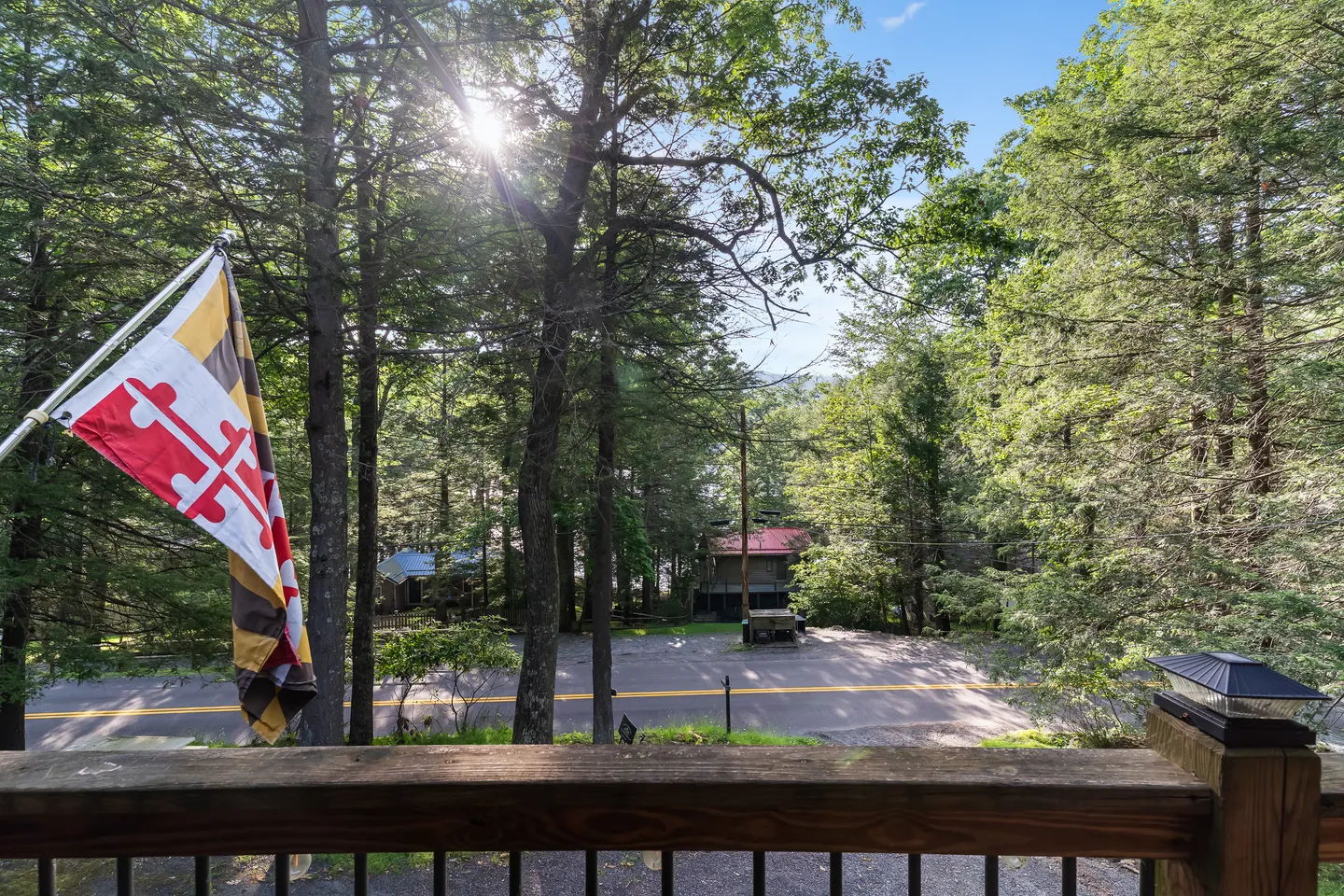 View from an elevated wooden deck railing looking out through trees toward a paved road below.