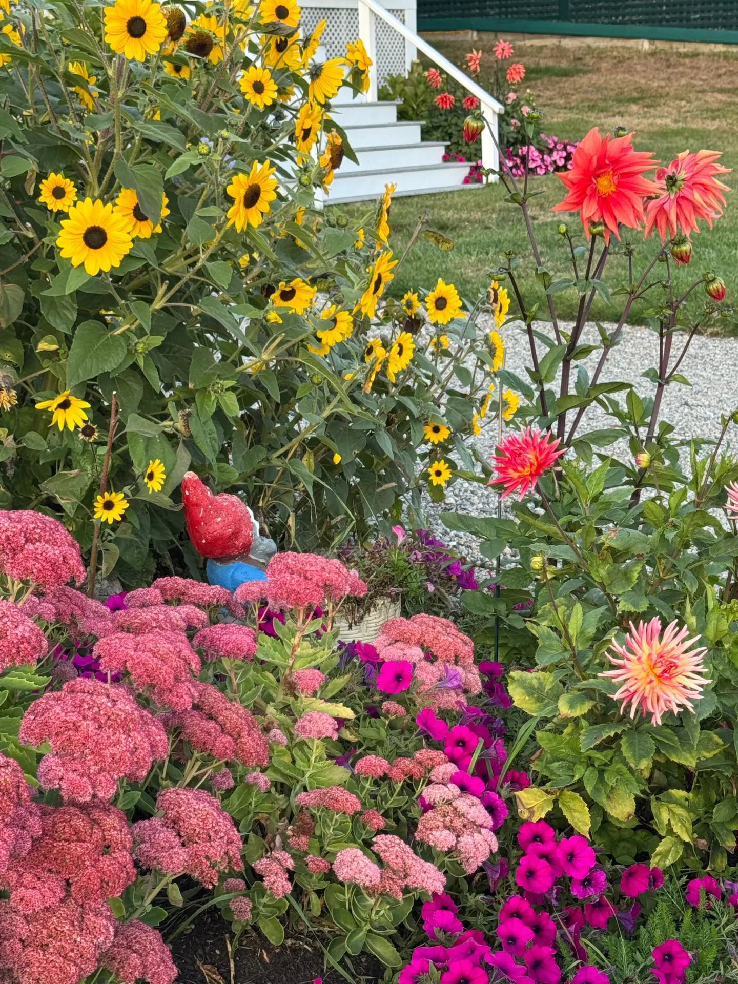 Home photo 12
