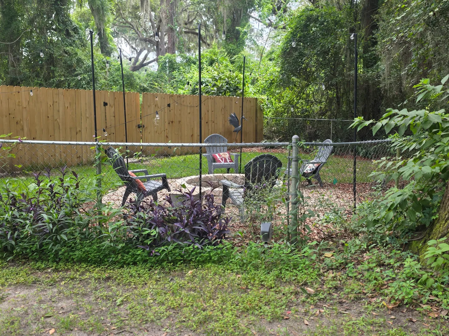 Home photo 10