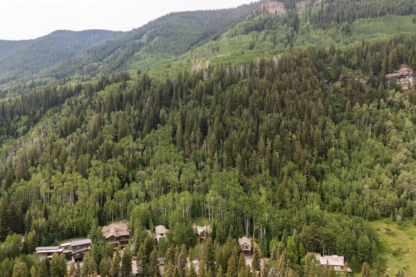 Aerial view of homes nestled along the base of a dense, forested mountain slope.