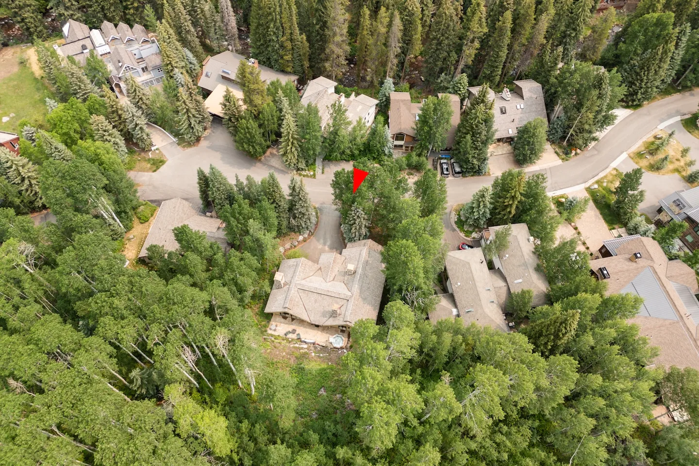 High-angle aerial drone view of a home surrounded by dense pine and aspen trees in a residential neighborhood.