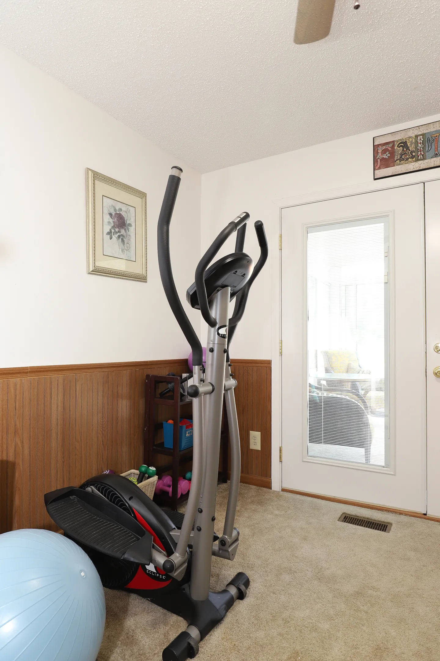 An elliptical exercise machine and fitness ball in a carpeted room next to a glass door.