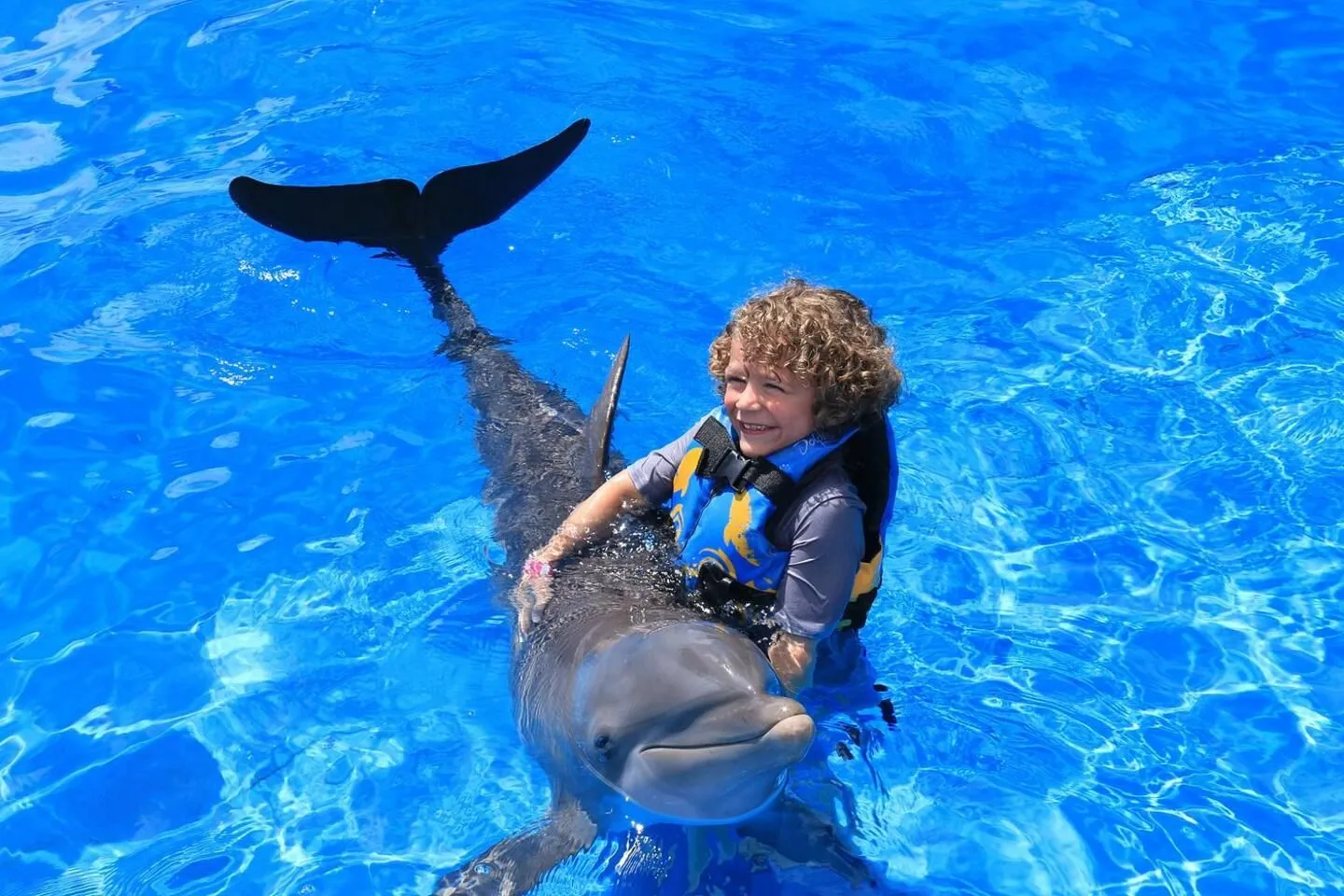 A child in a life vest smiles while interacting with a dolphin in clear blue water.