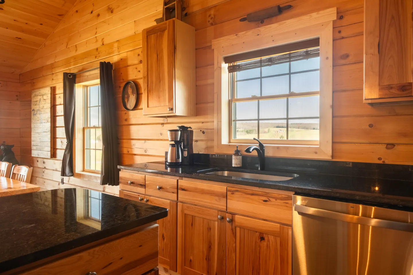 Rustic log cabin kitchen with wood-paneled walls, wooden cabinetry, dark countertops, an undermount sink, and a stainless steel dishwasher.