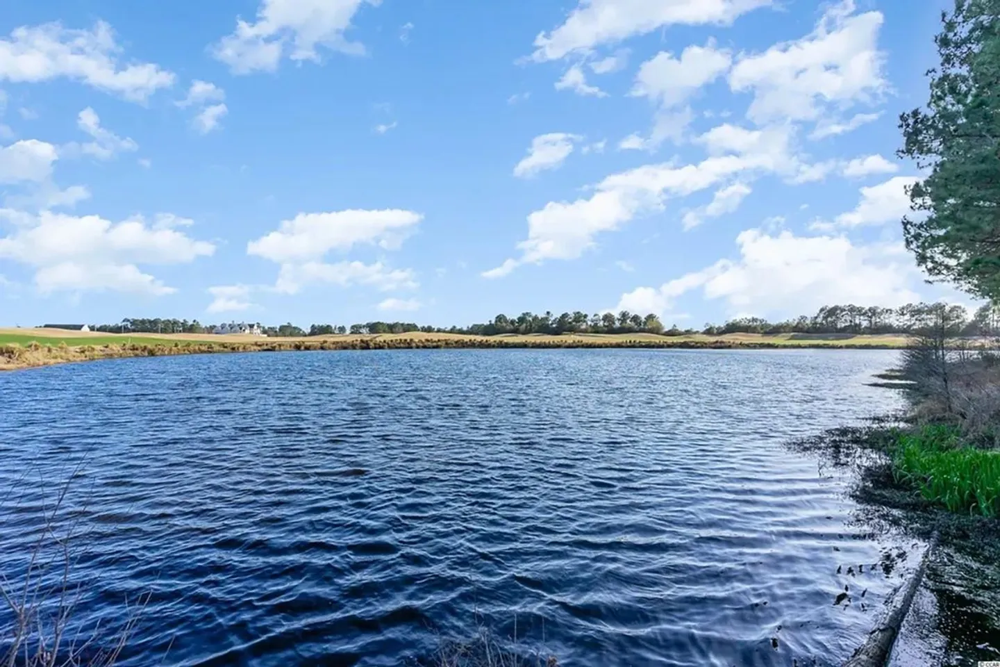 A wide view of a pond with rippling blue water beneath a bright blue sky with white clouds.