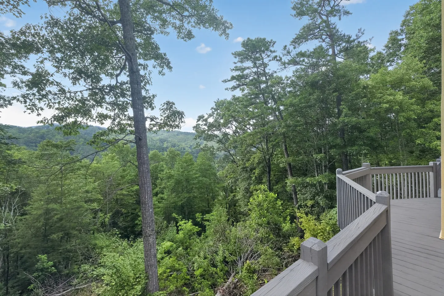 Elevated wooden deck overlooking lush green trees and rolling forested hills under a blue sky.