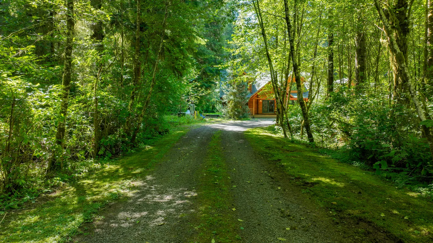 A long gravel driveway lined with dense green trees and foliage leading toward a log-style cabin.