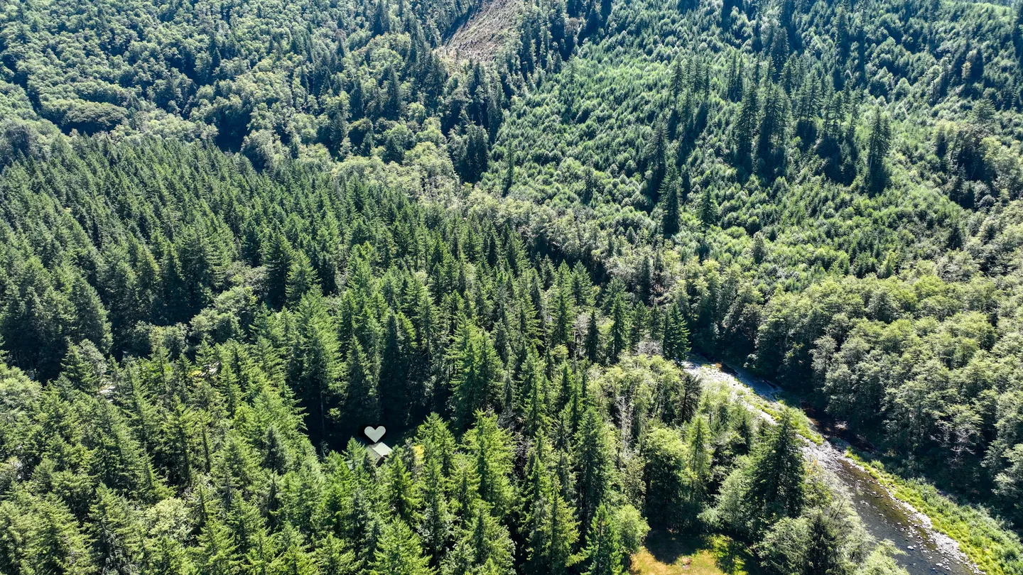 Aerial view of a dense evergreen forest with a river flowing along the lower right and a home marked with a heart icon nestled in the trees.