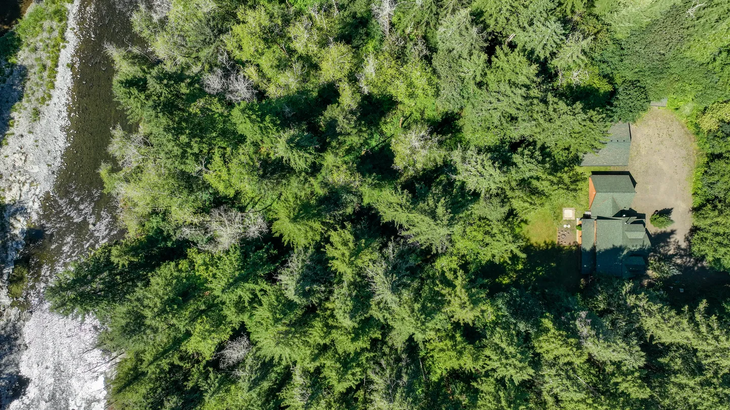 Top-down aerial view of a house nestled in a dense evergreen forest adjacent to a rocky riverbed.