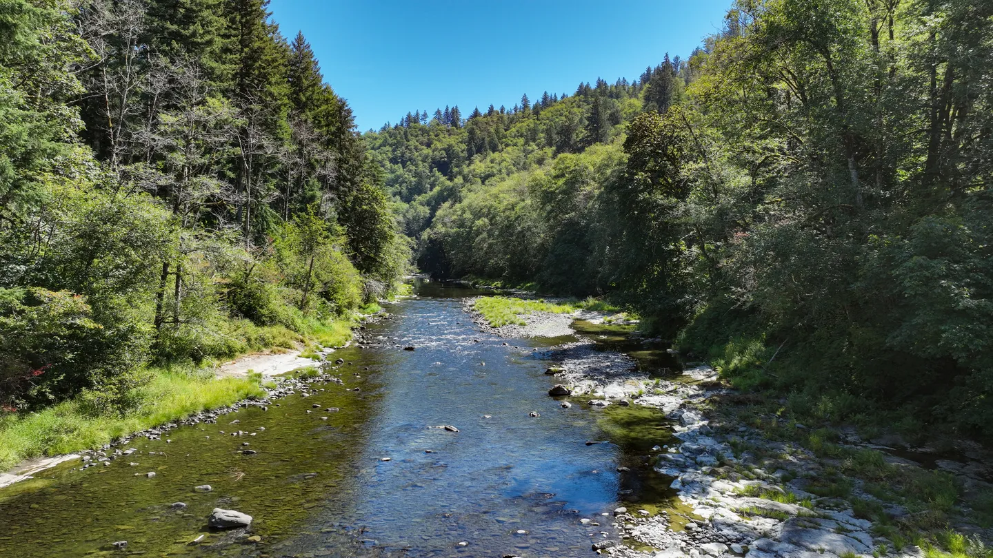 A wide, shallow river flowing between dense green forested banks beneath a clear blue sky.