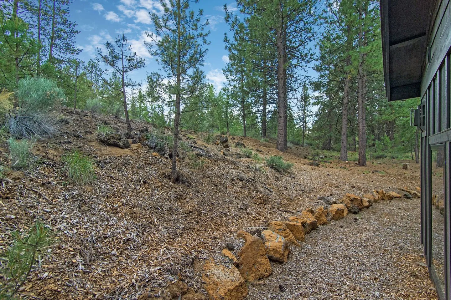 A natural hillside landscape behind a house, bordered by pine trees and a low rock barrier alongside wood chip ground cover.