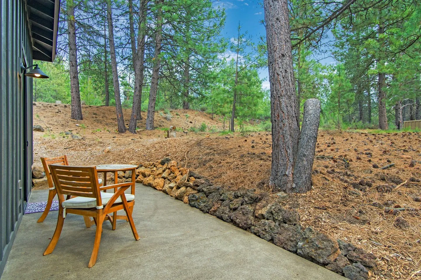 Concrete patio with wooden chairs facing a sloped yard filled with pine trees and fallen pine needles.