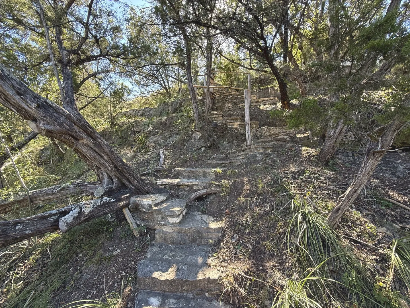 A rustic stone staircase ascending a steep hillside among native trees and brush.