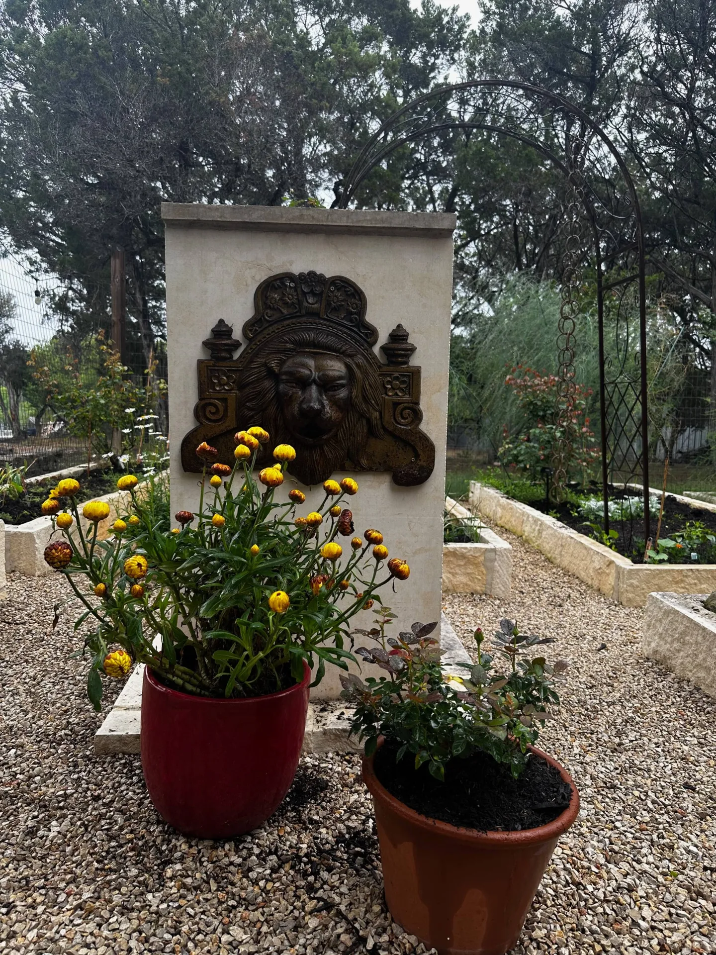 A garden feature with a stone pillar displaying a lion head relief sculpture, flanked by potted flowers on a gravel path.