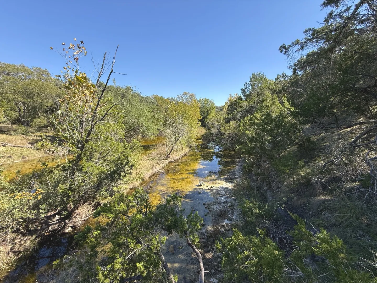 A scenic view looking down at a shallow creek winding through a dense forest under a clear blue sky.