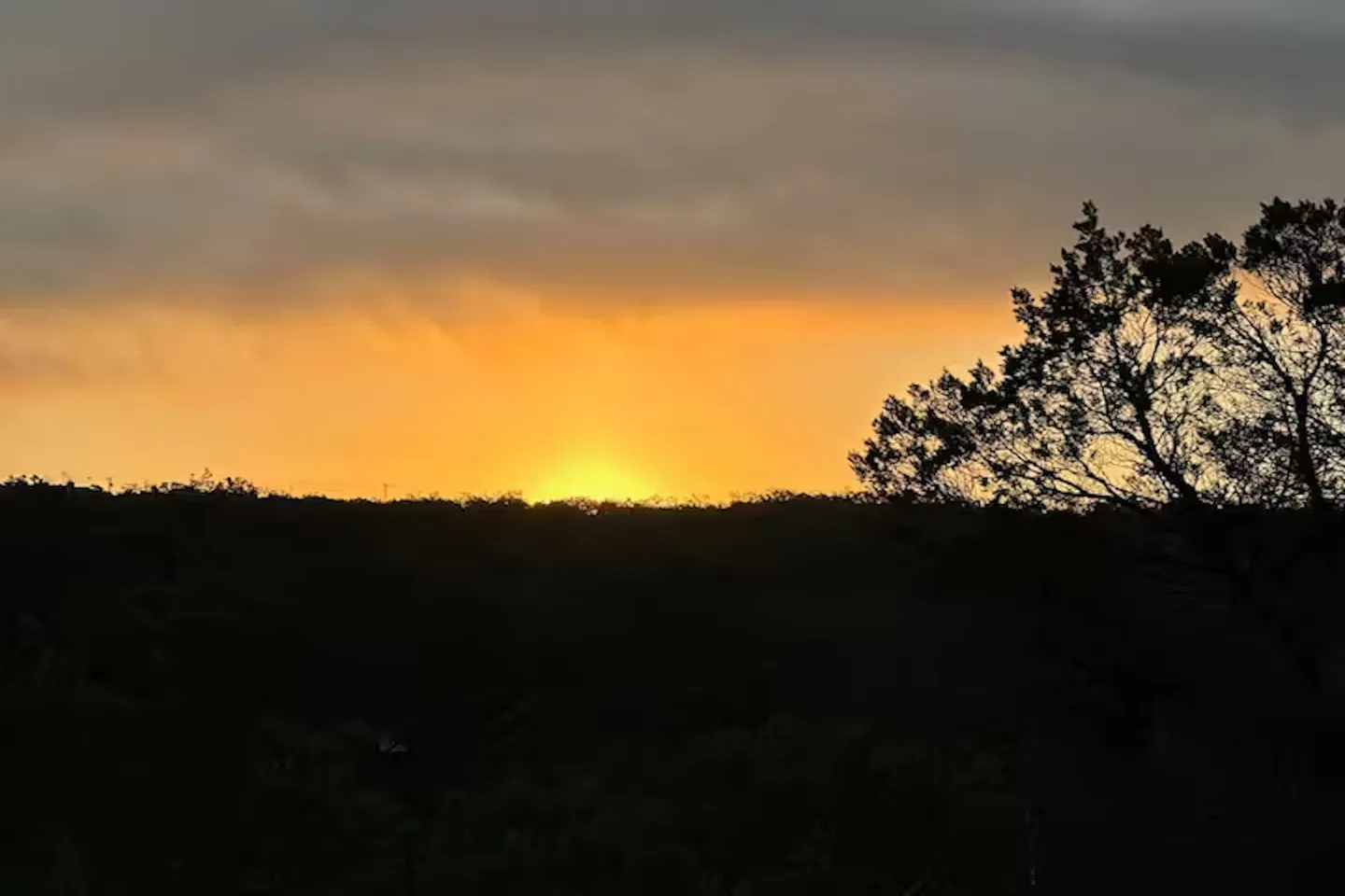 Sunset over a wooded hill with a bright golden horizon and silhouetted trees in the foreground.