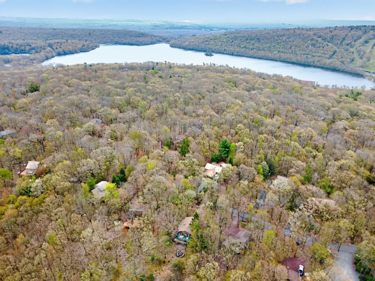 Aerial view of a wooded community with houses nestled among trees and a large lake in the background.