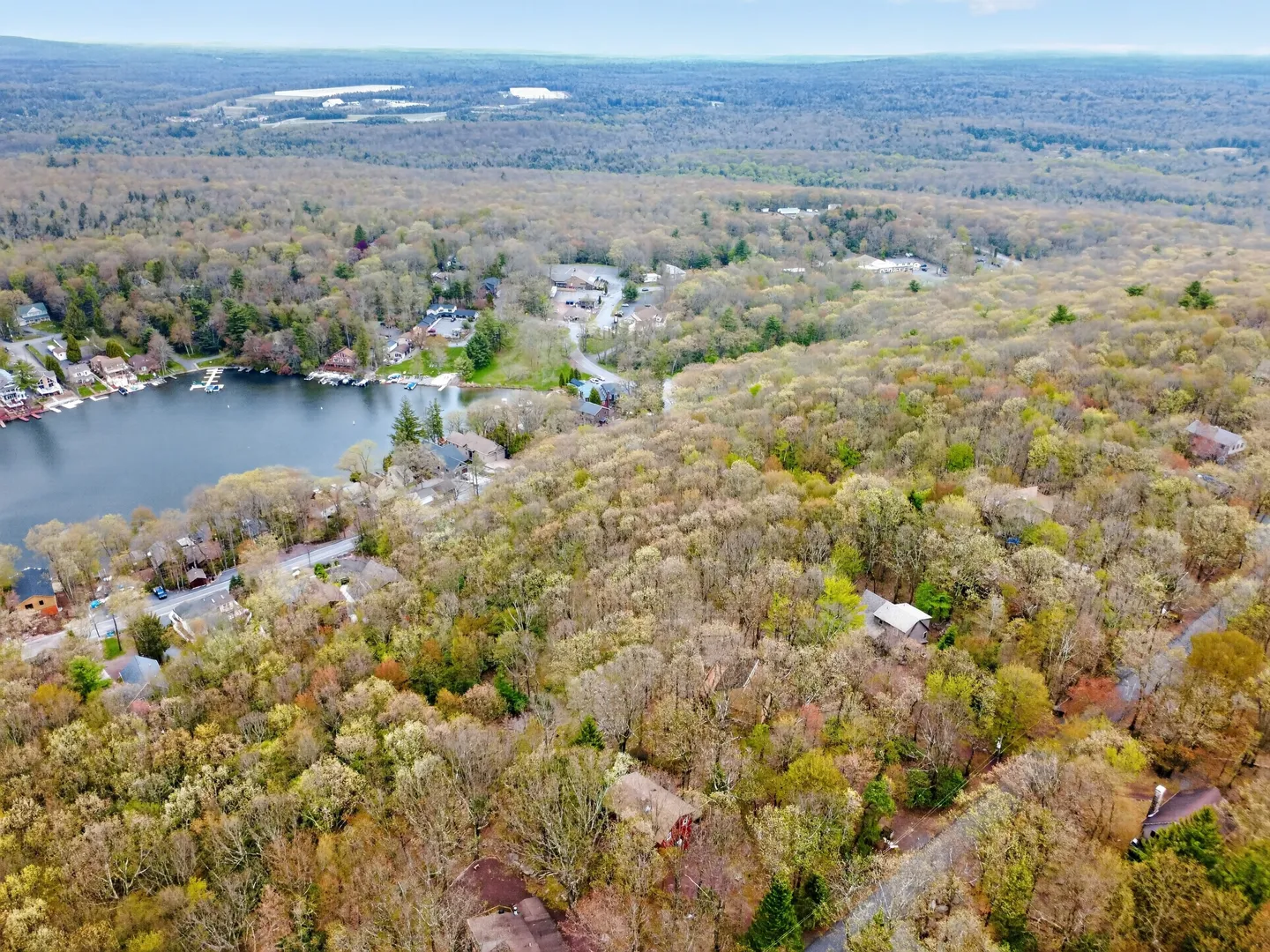 High aerial view of a wooded community adjacent to a lake under a pale sky.