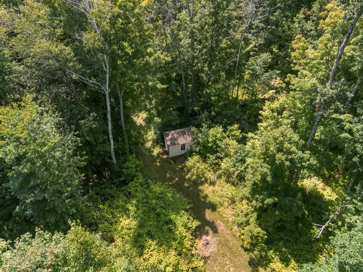 Aerial view of a small shed tucked into a dense forest clearing.