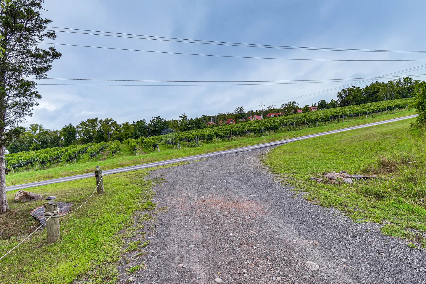 A gravel driveway meeting a paved country road with a hillside vineyard and trees in the background.