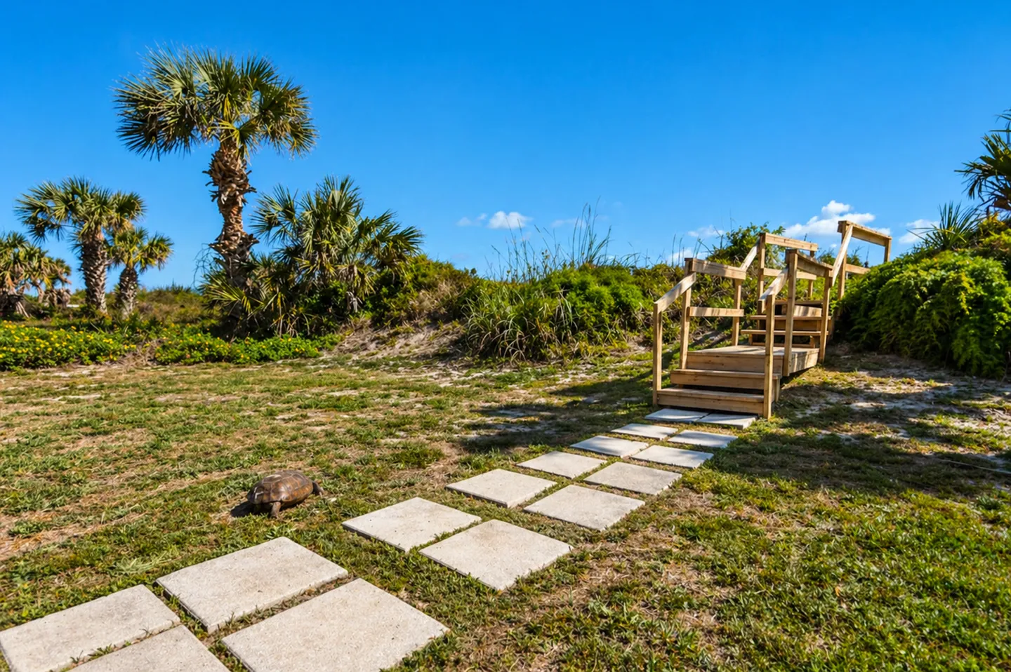 A square stone paver walkway across grass leads to wooden stairs over sand dunes, with a gopher tortoise nearby and palm trees under a clear blue sky.
