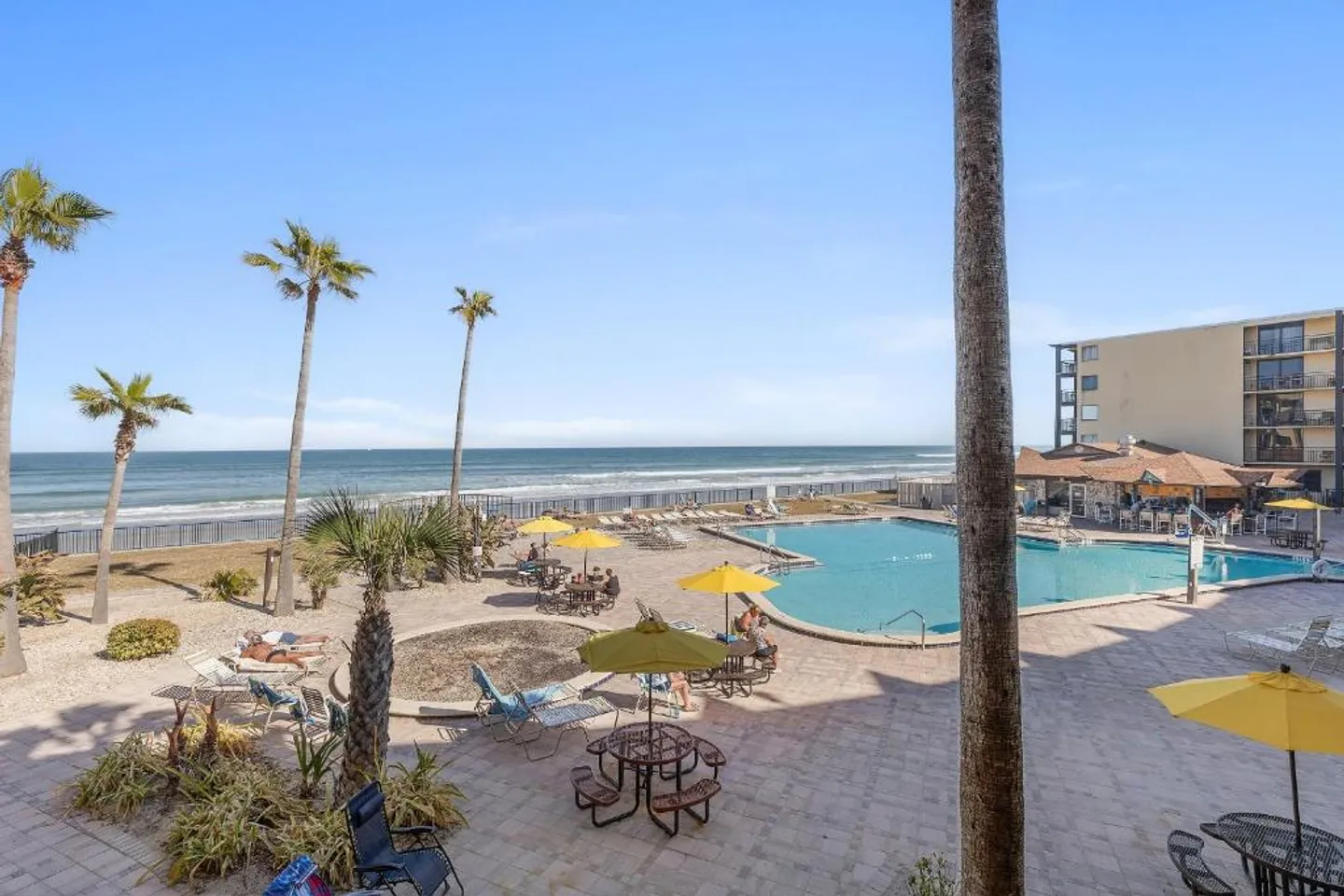 Elevated view of an oceanfront swimming pool patio with palm trees, lounge chairs, and umbrella tables overlooking the beach.