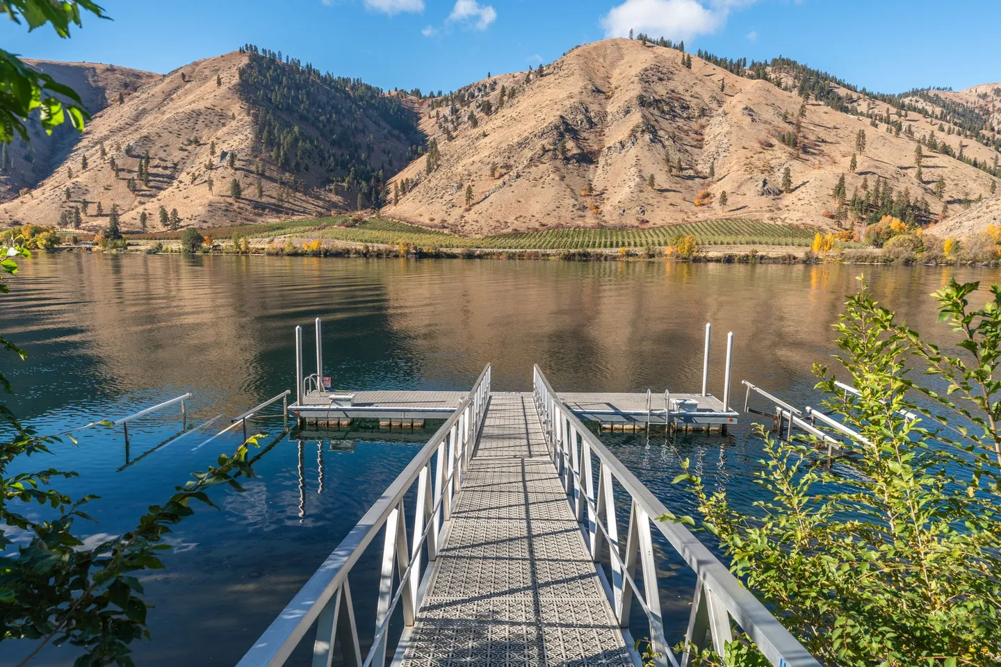 A metal dock ramp leading out to a boat dock on a wide river with arid mountains and orchards on the far shore under a blue sky.