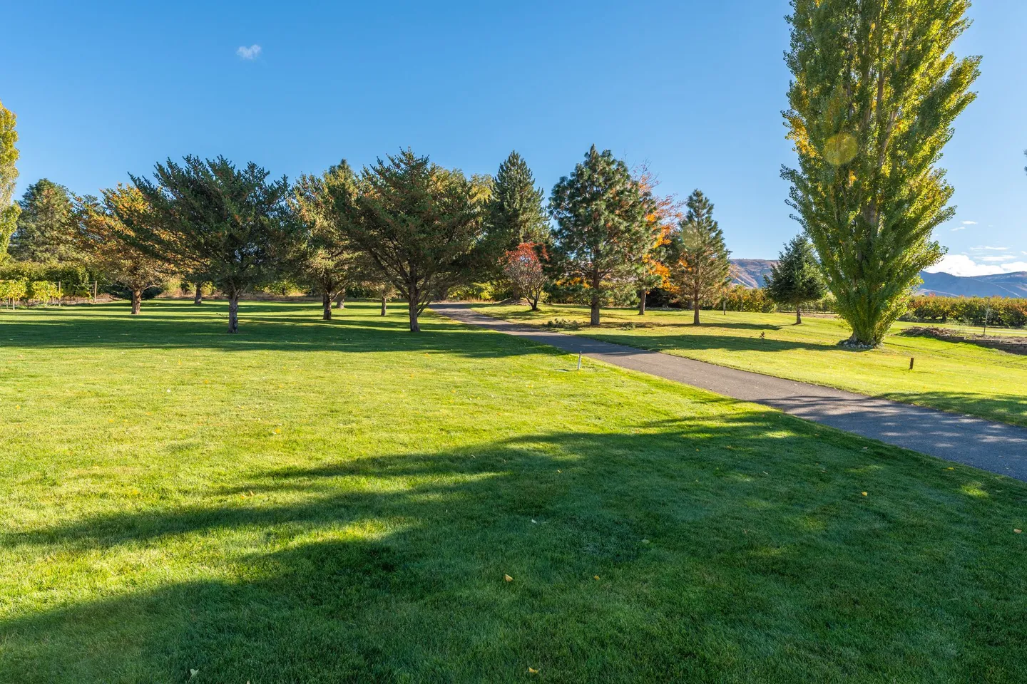 A wide paved pathway curves across an expansive green lawn surrounded by mature trees under a clear blue sky.