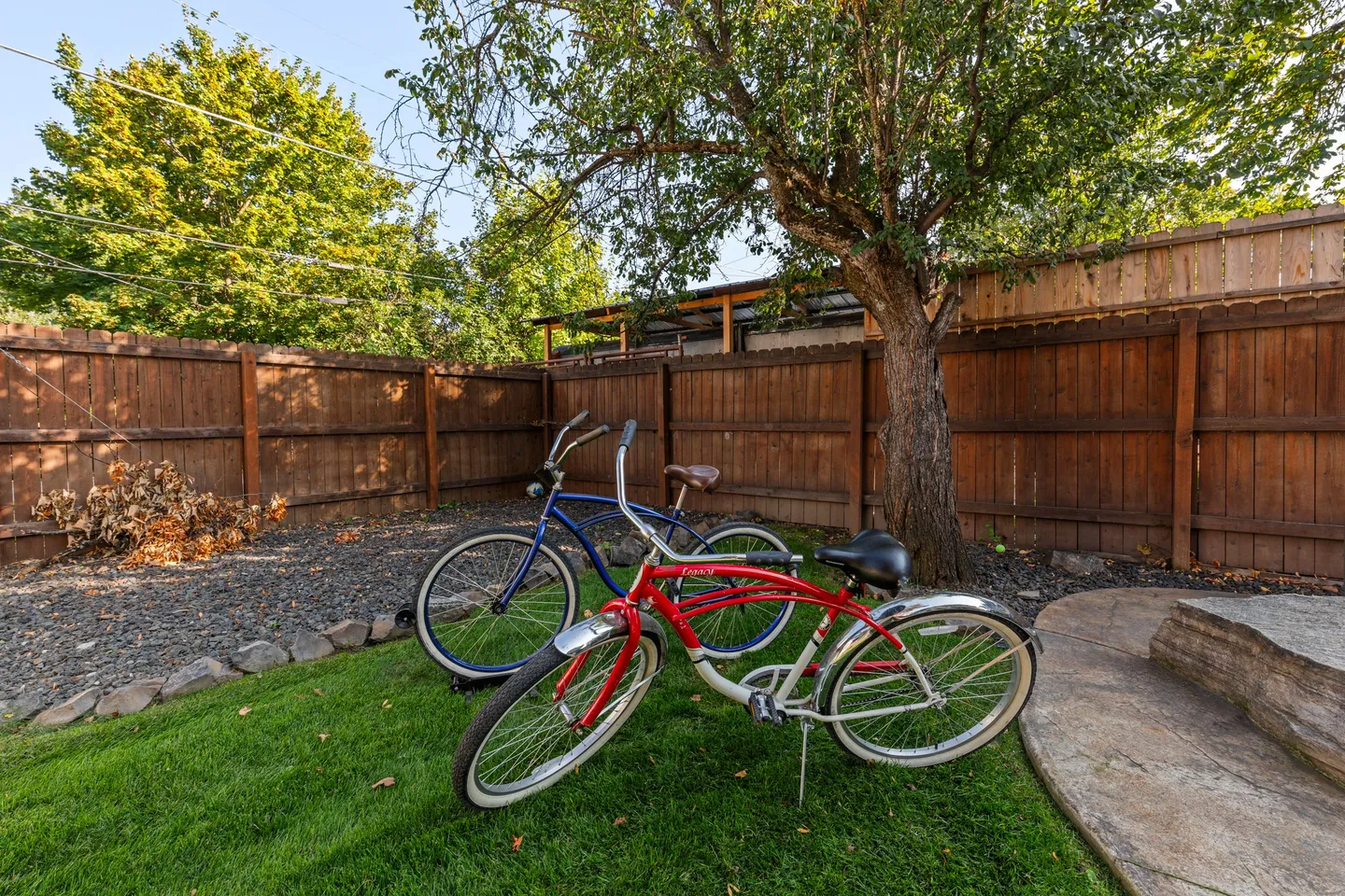 Two cruiser bicycles parked on a grass lawn in a fenced backyard near a tree.