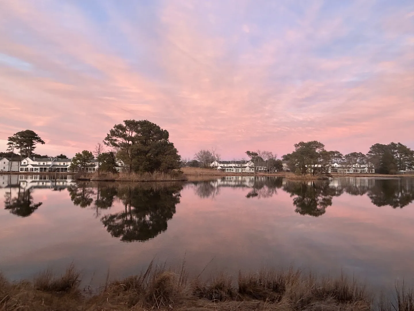 Calm water reflecting pink evening clouds, trees, and residential buildings along the distant shore.