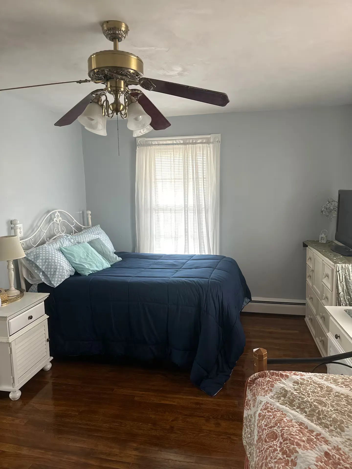 Bedroom featuring a bed with a dark blue comforter, light blue walls, wood flooring, and a ceiling fan.