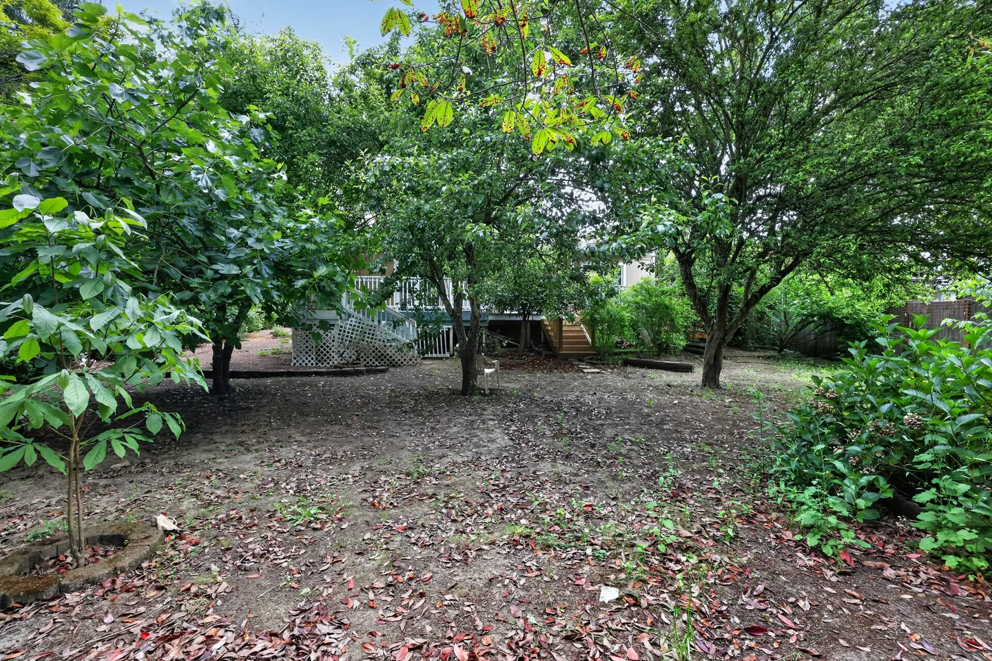 Home photo 17