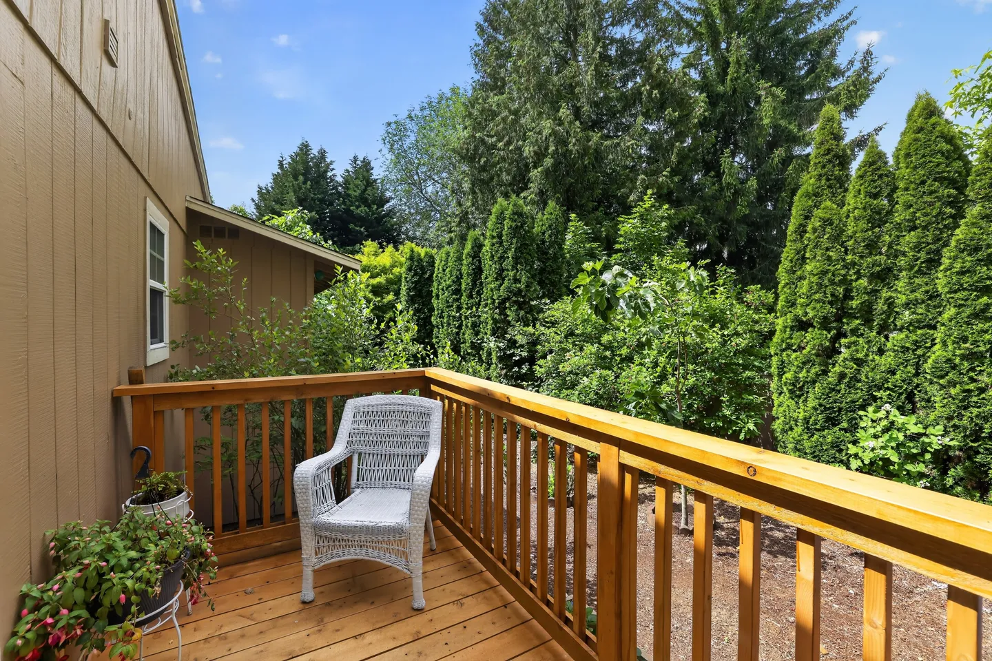 Home photo 12