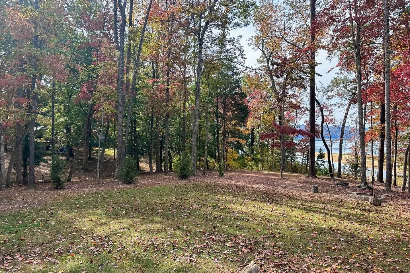 A wooded backyard clearing with autumn foliage, showing fallen leaves on the grass and a view of a lake through the trees.