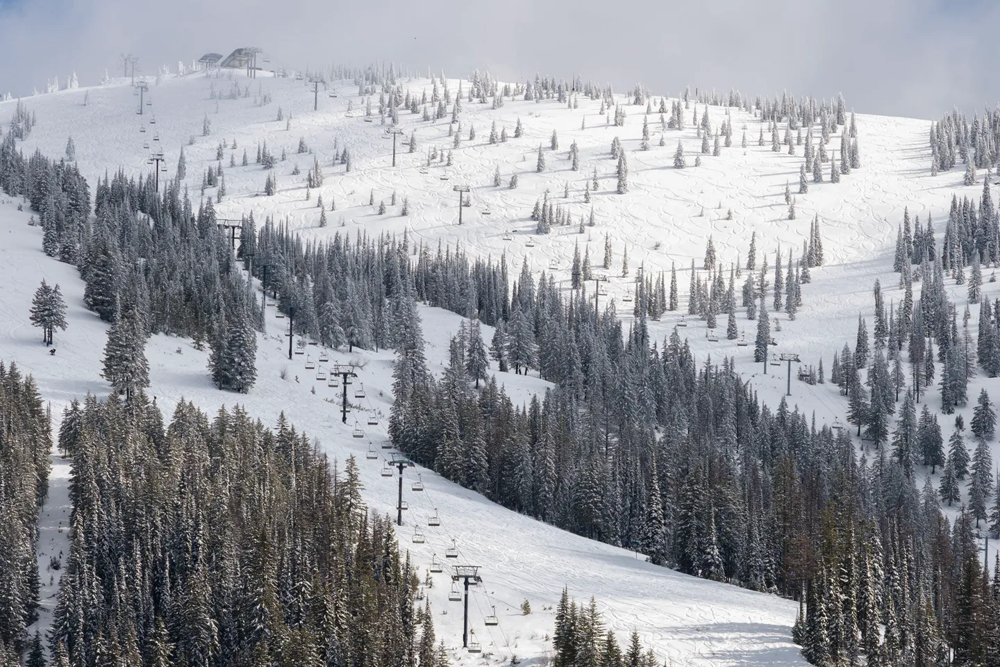 A snow-covered mountain slope featuring ski trails, evergreen pine trees, and chairlift lines on a bright winter day.