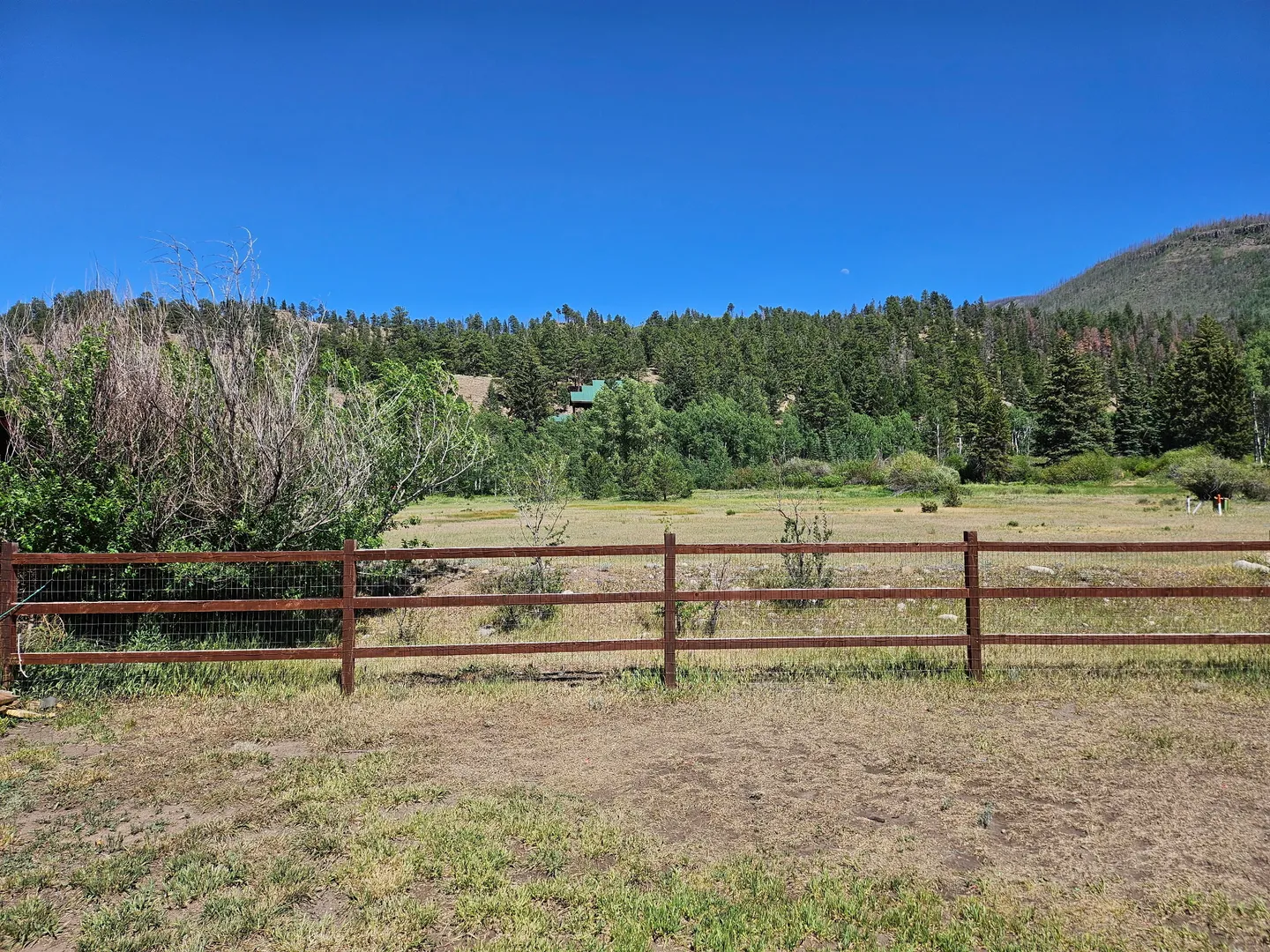A wooden split-rail fence in the foreground overlooking an open grassy field backed by a pine-covered hillside under a clear blue sky.