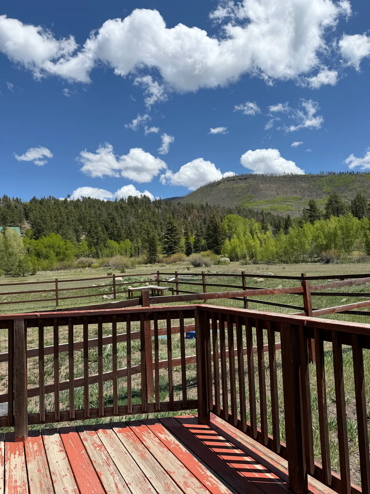 Wooden deck with railing looking out over a fenced yard toward evergreen trees and a forested hill under a blue sky.