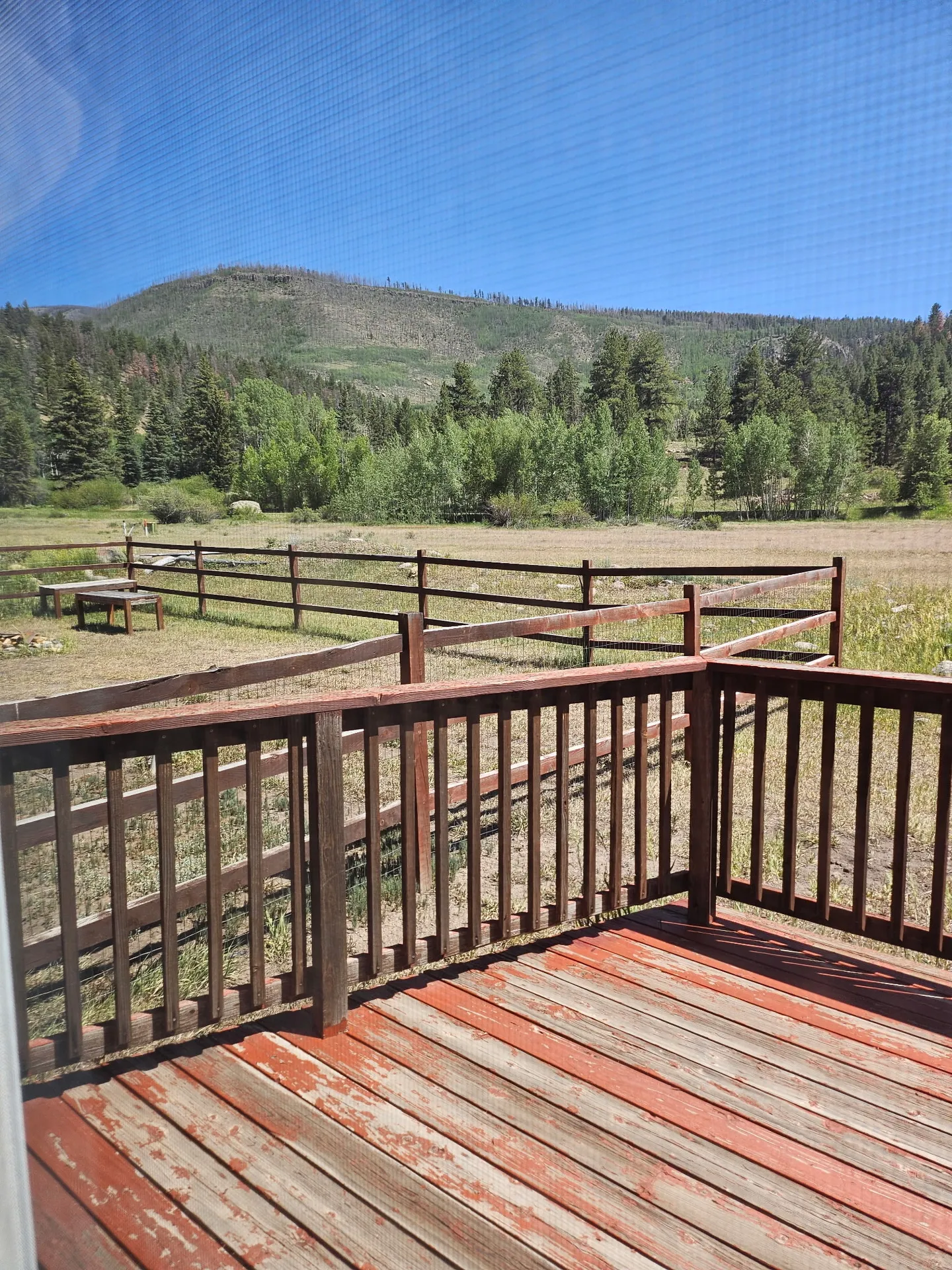 A view of an outdoor wooden deck overlooking a fenced yard and tree-covered mountain under a blue sky, photographed through a window screen.