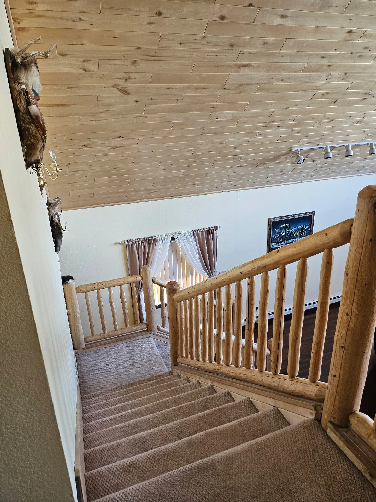 A carpeted staircase with log railings viewed from above, leading down toward a wood-paneled ceiling.