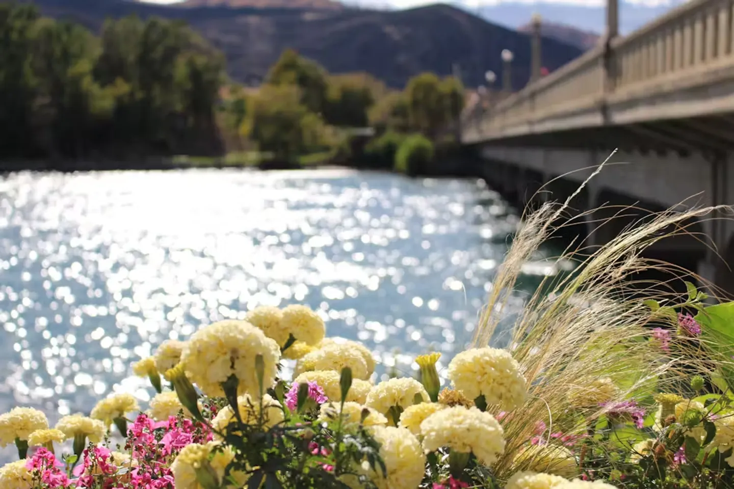 Yellow and pink flowers in the foreground overlooking sparkling water and a concrete bridge with distant hills.