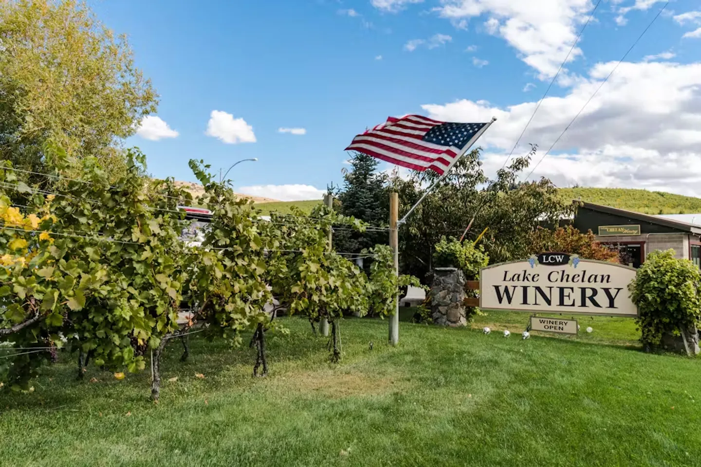 Exterior view of Lake Chelan Winery sign, an American flag, and grapevines growing on trellises under a blue sky.