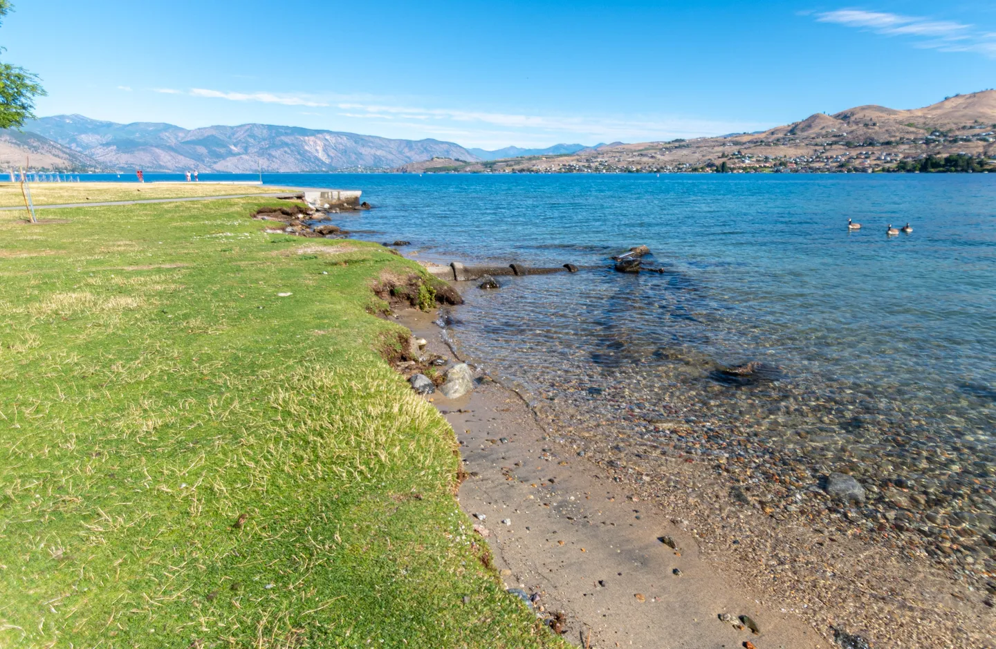 A wide view of a lakefront shoreline with a grassy lawn meeting a sandy, pebbled beach under a clear blue sky, with mountains across the water.