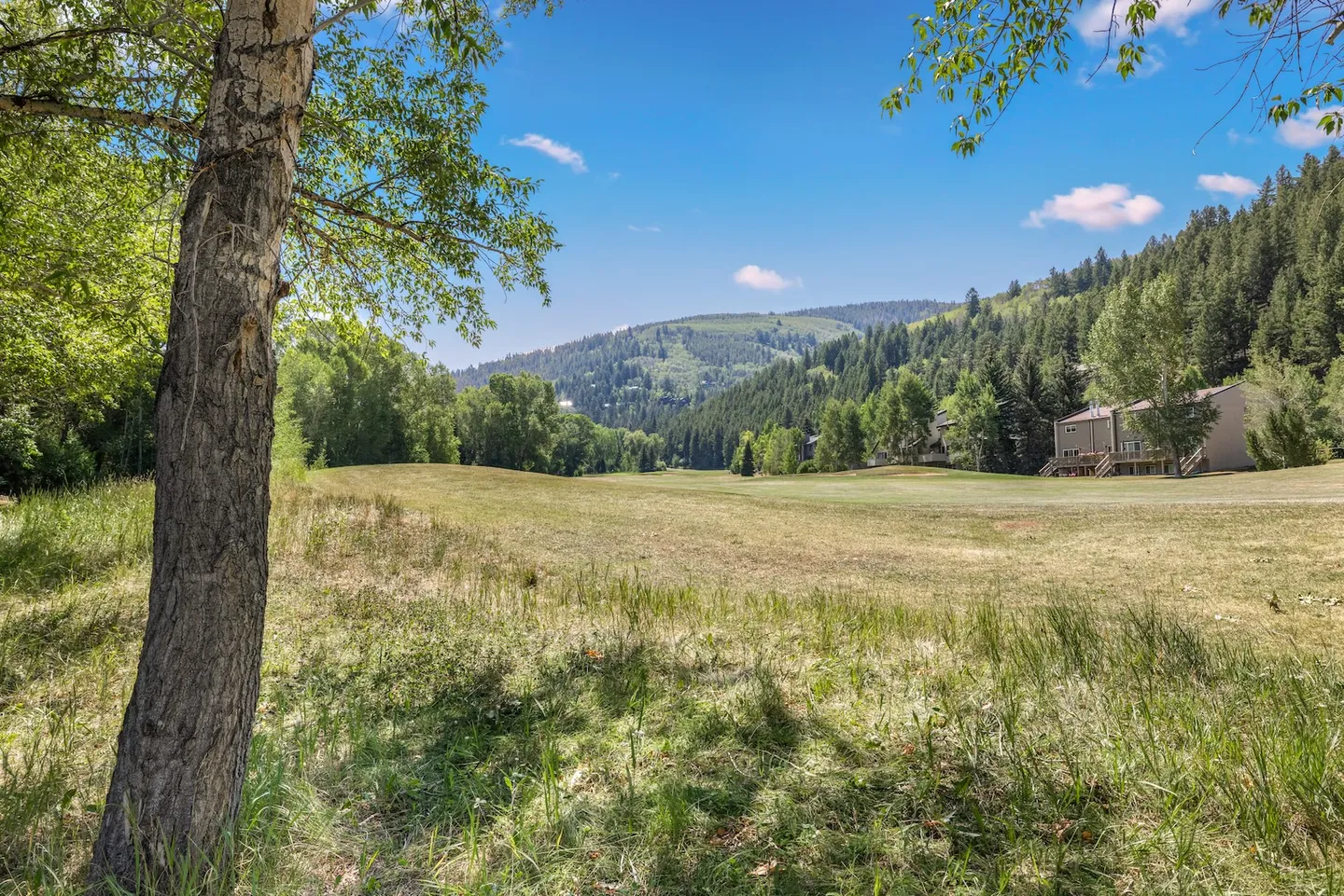 Wide view of a grassy field framed by trees, looking toward forested mountain slopes and nearby residences under a blue sky.
