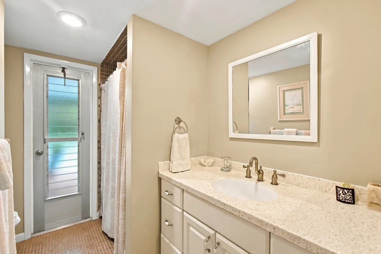 Bathroom vanity with speckled countertop, white sink, framed mirror, and an exterior door with frosted glass slats beside a shower curtain.
