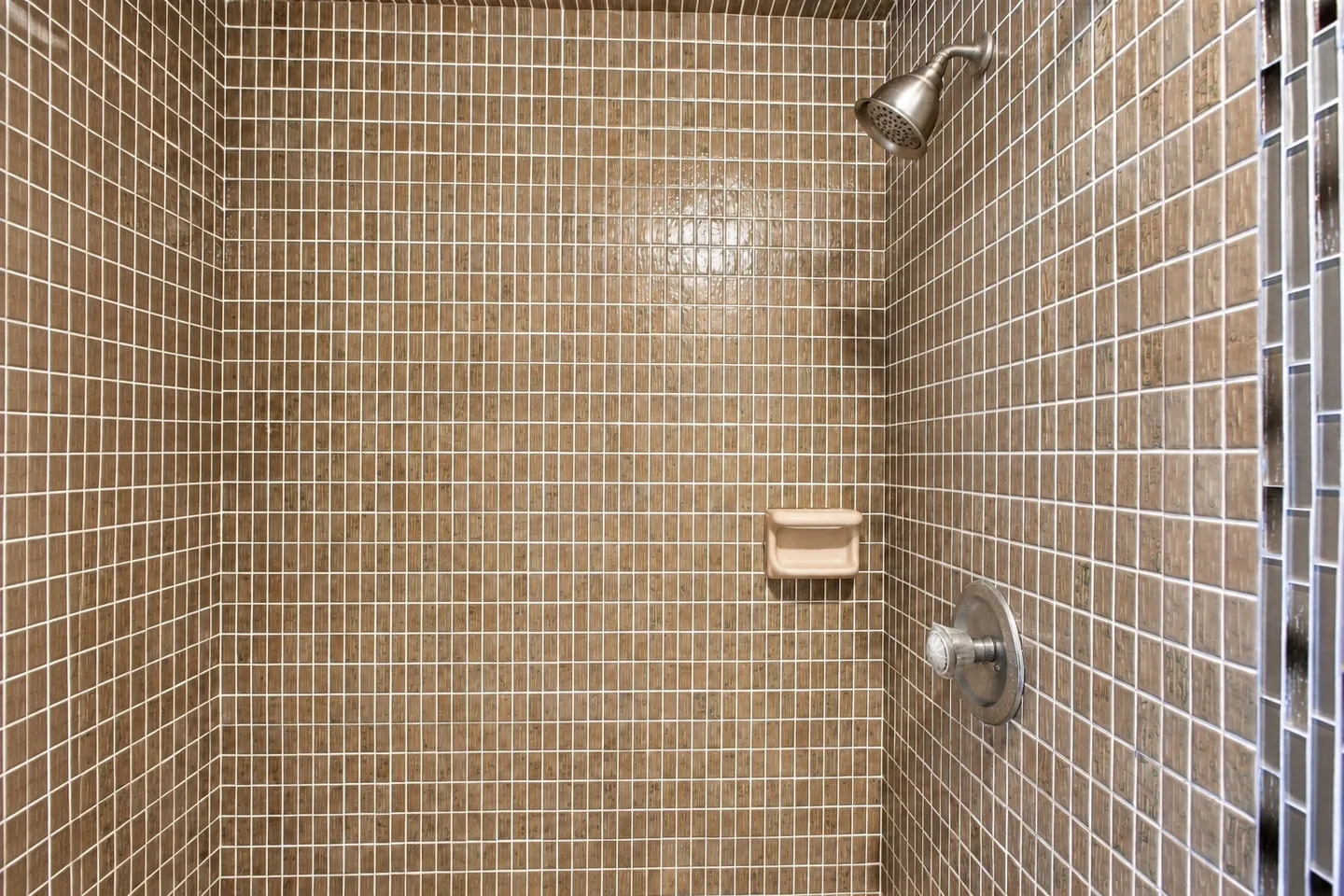 Tiled shower interior with brown mosaic tiles, a brushed nickel showerhead, single-handle faucet, and built-in soap dish.