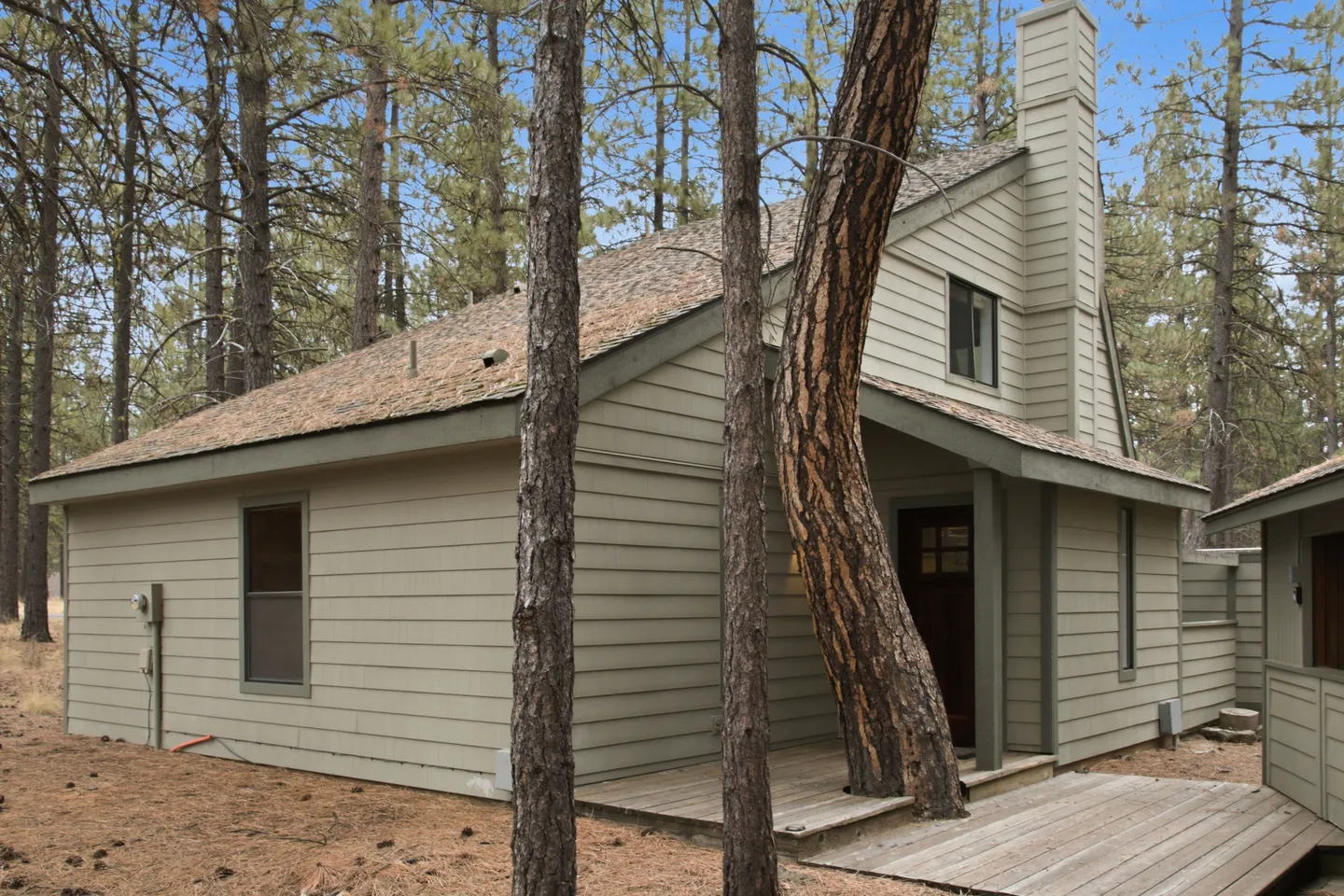 Exterior of a wood-sided cabin in the woods with a tree growing directly through the wooden front deck and entrance porch.
