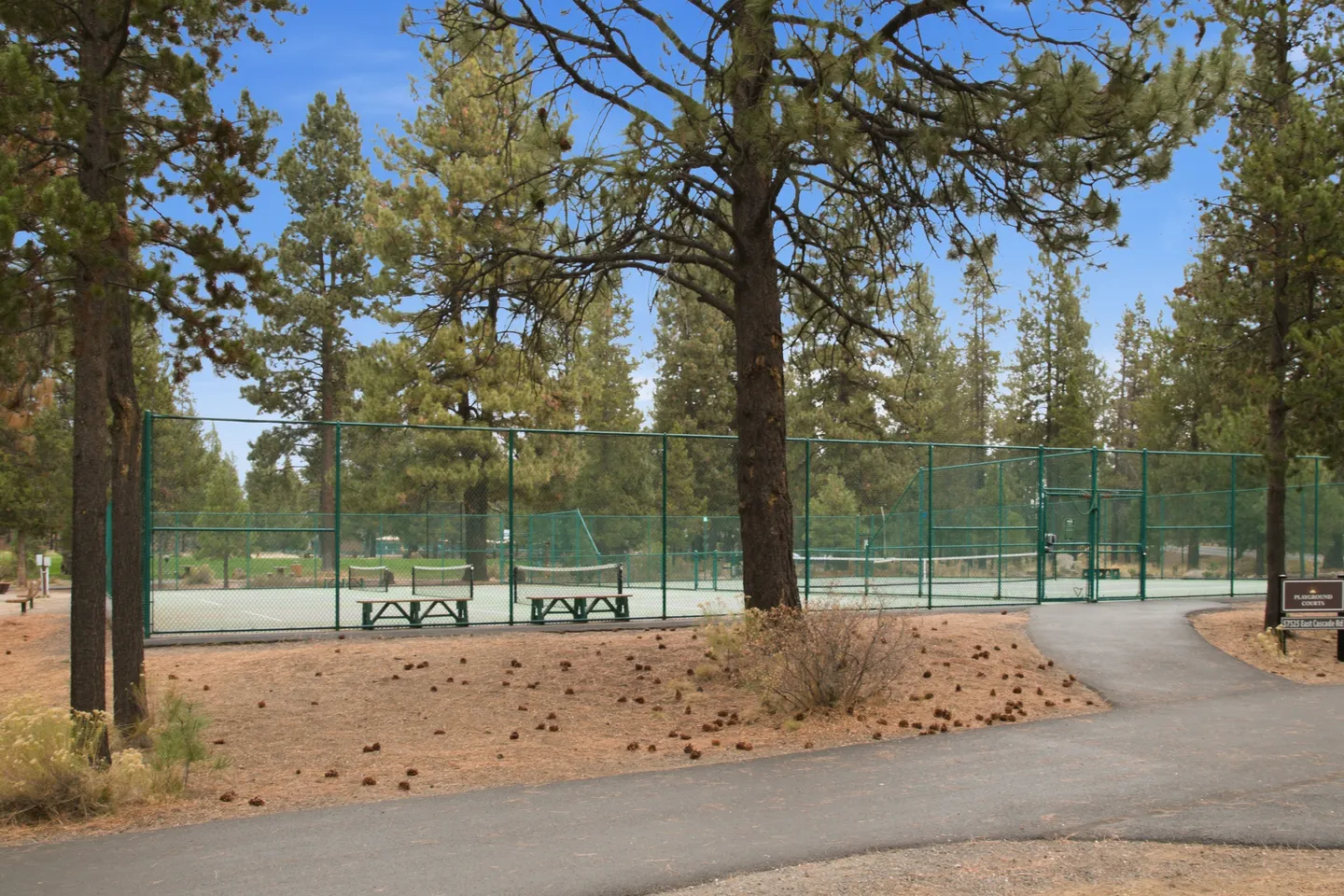 Outdoor tennis and pickleball courts enclosed by chain-link fencing and surrounded by tall pine trees.
