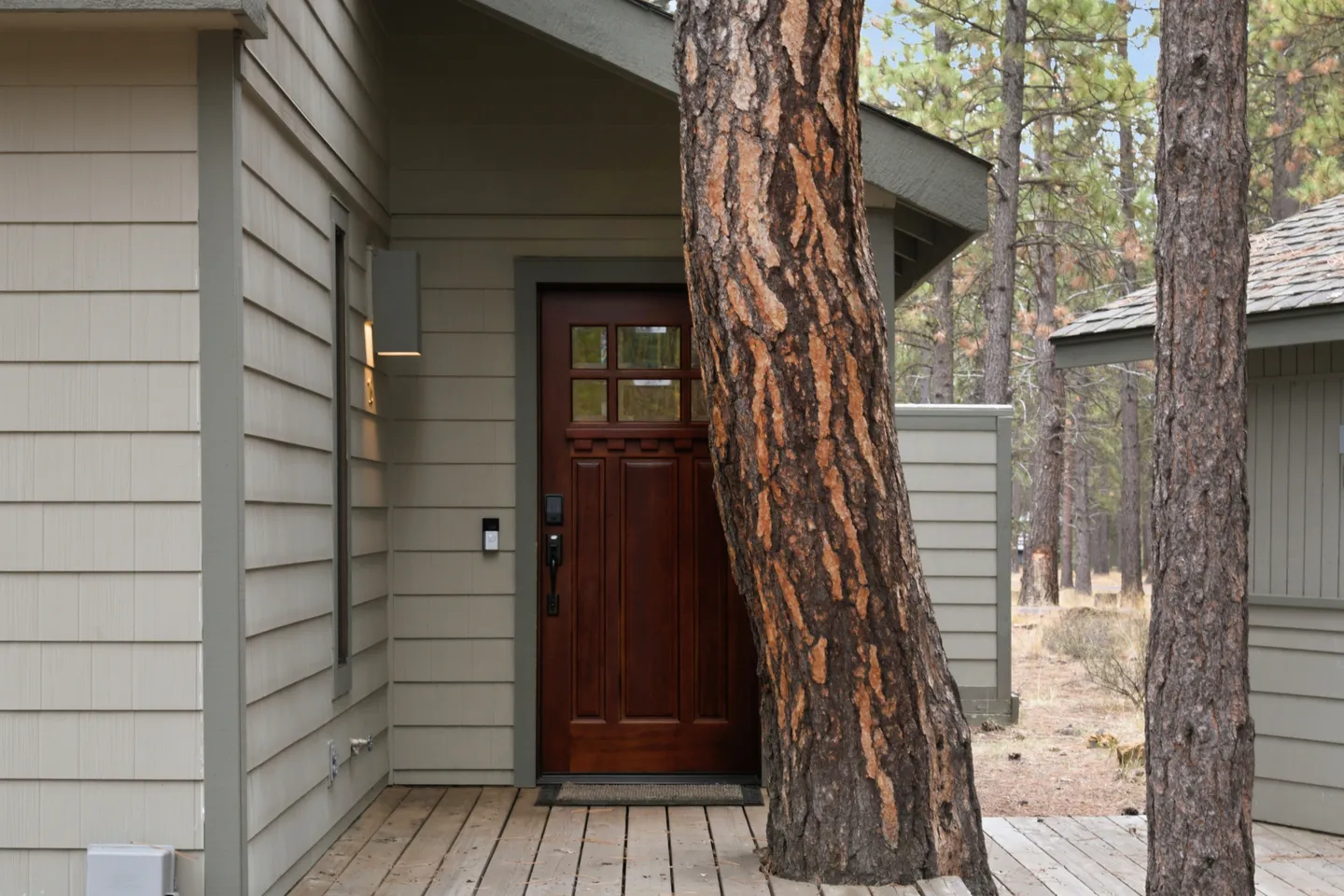 Exterior covered porch with a wood plank deck, a large pine tree trunk, and a dark wood front door.