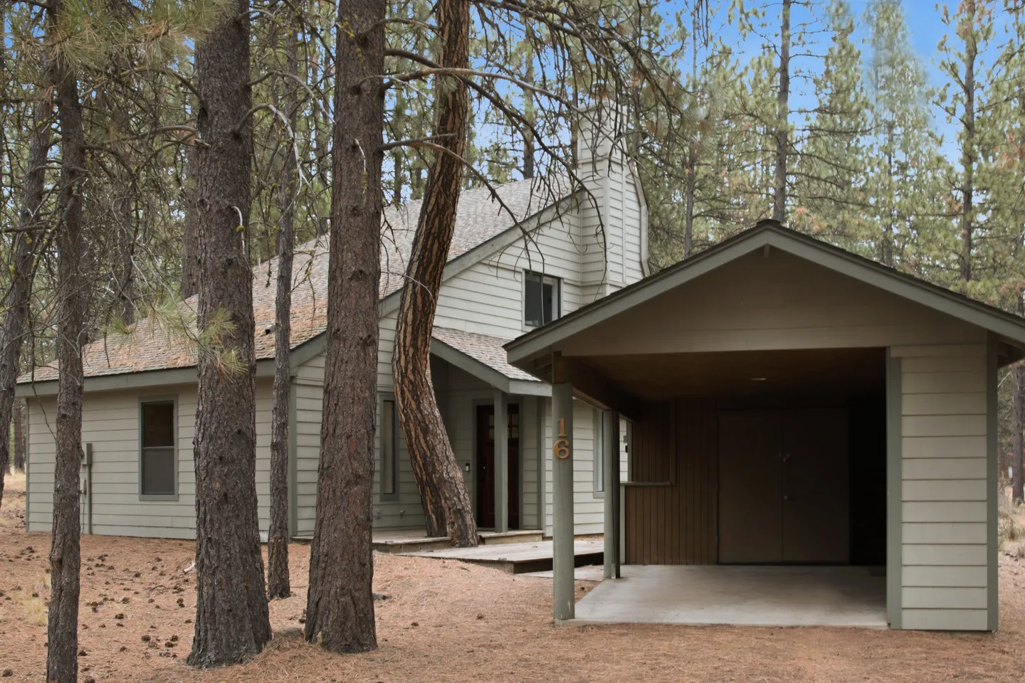 Exterior of a two-story home with horizontal siding, an open carport, and surrounding pine trees.